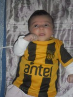 /album/fotogaleria/sam-0817-jpg/